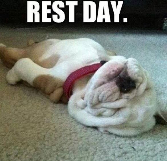 A Day in the Life: Rest Day