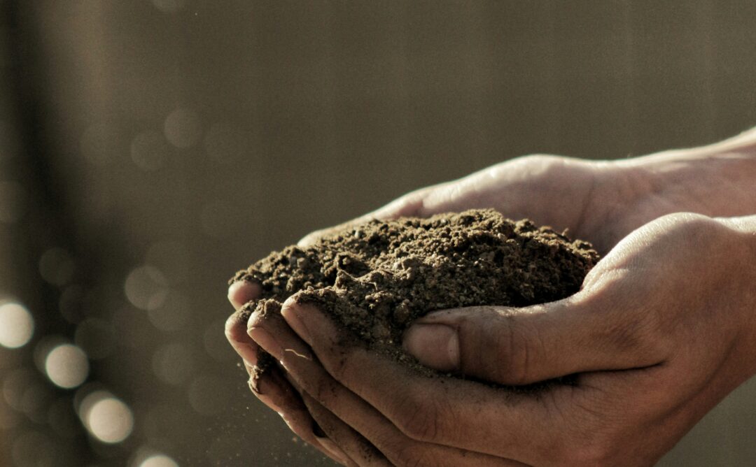 This is a picture of a pair of hands holding dark brown soil. It represents seeds in soil, a dark season.