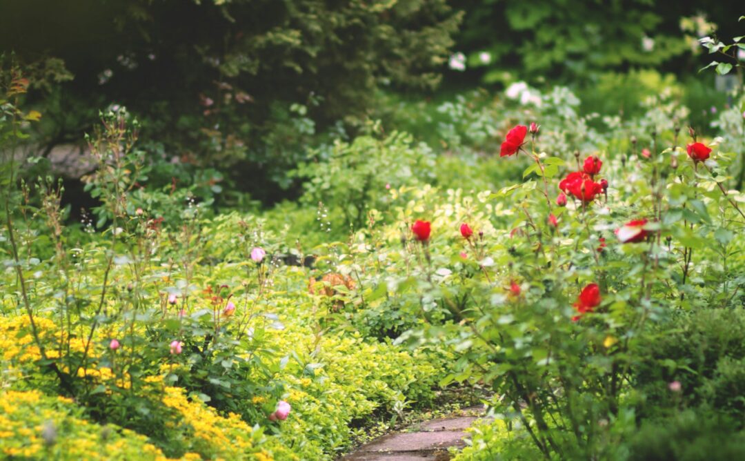 This is a picture of a narrow stone path surrounded by bright green grass, plants, red and white flowers, and green trees in the background. The sun is shining.