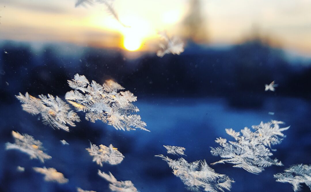 This is a close-up picture of snowflakes on glass. The background is dark blue and yellow from the sun.