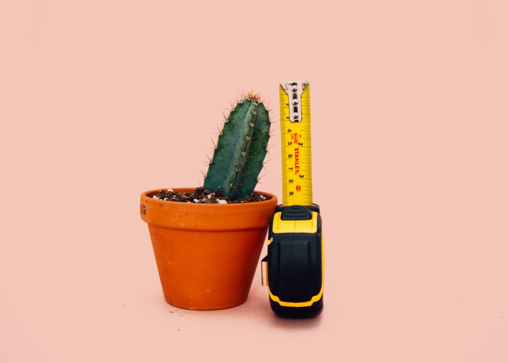This is a picture of a cactus in an orange clay pot. Beside the pot is a measuring tape that is set to 4 inches. The background is a peach color.