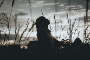 This is a picture of a girl standing in a field of tall grass or wheat. She is looking up at the sky with her hands raised. The picture is sepia tones. This picture represents someone who has an attitude of gratitude.
