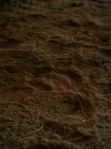This is a picture of brown soil. It represents seeds in soil, a dark season they must endure.