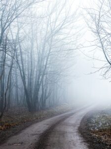 This is a picture of a dirt road. The road curves slightly and you can’t see where it leads. On either side of the road are trees with no leaves. The atmosphere is grey and foggy.